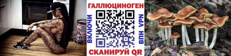 MEGA ONION  Медвежьегорск  Псилоцибиновые грибы прущие грибы 